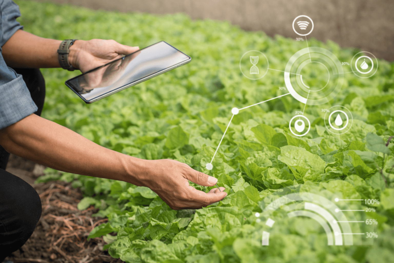 INNOVAGRO