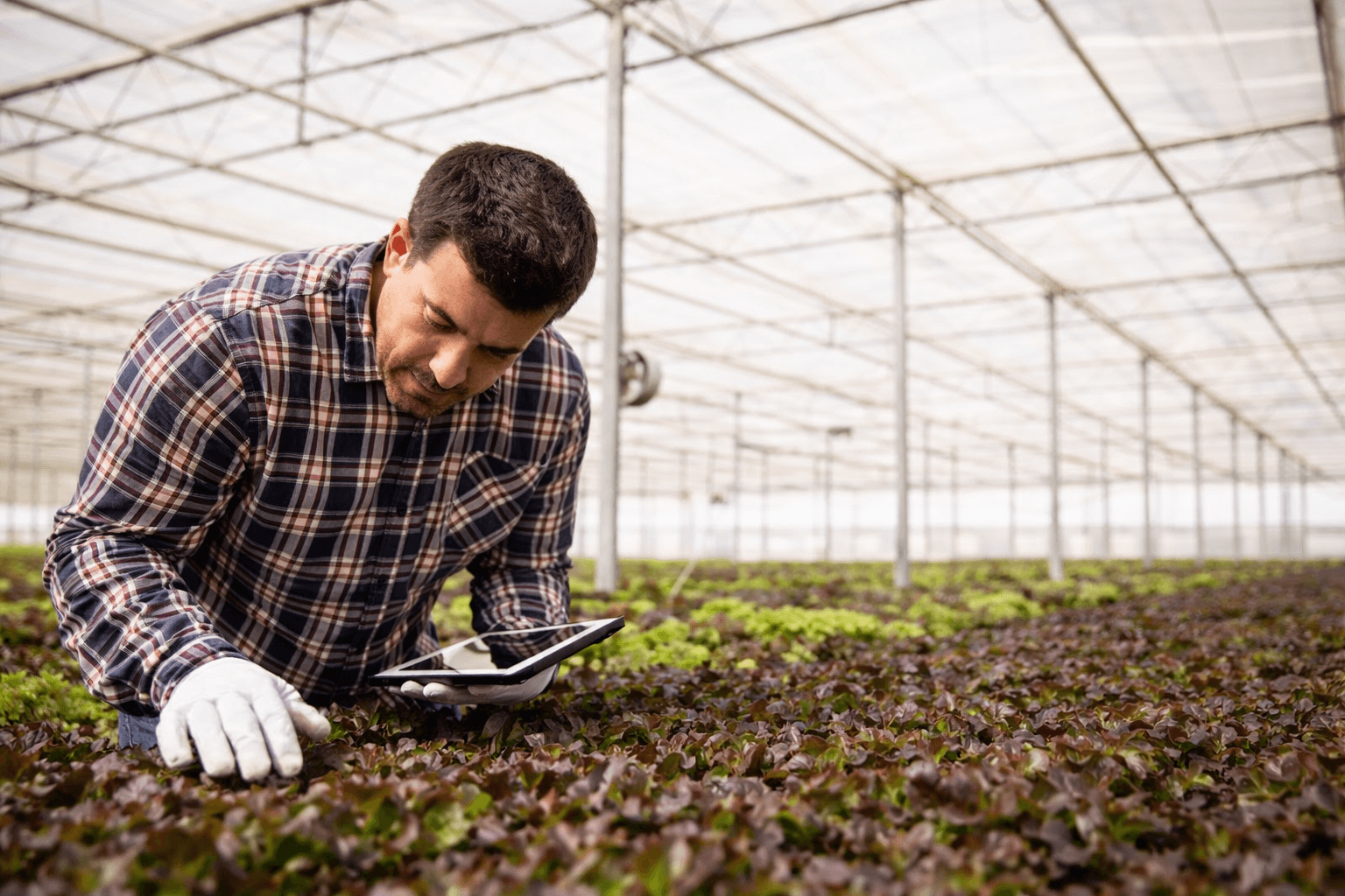 Agricultor usando tecnolog\u00EDa innovadora